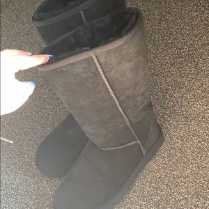 ugg class tall boots